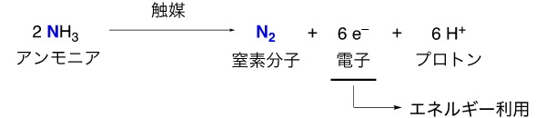 図１　アンモニアの酸化反応