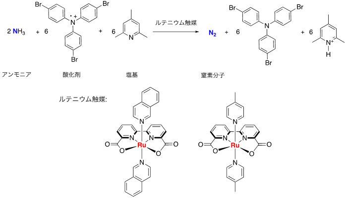 å³ï¼ãã«ããã¦ã è§¦åªã«ããã¢ã³ã¢ãã¢ã®é¸ååå¿