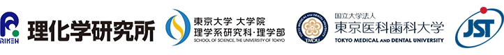 理化学研究所,東京大学 大学院理学系研究科,東京医科歯科大学,科学技術振興機構（ＪＳＴ）