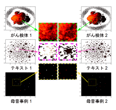 図３　図１の方法で変換したサンプルの画像の実例