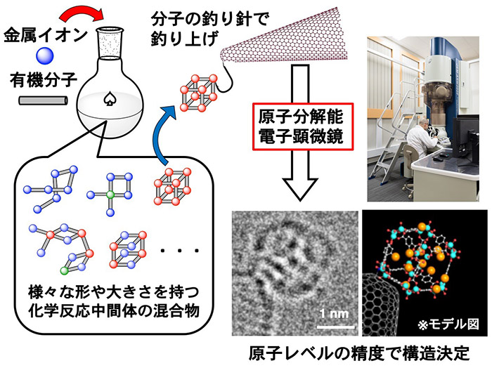 図１　本研究で用いた「分子釣り針」手法の概念図