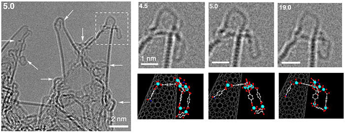 図４　ＭＯＦ－２反応溶液から採取したカーボンナノチューブの先端に釣り上げた反応中間体の電子顕微鏡像