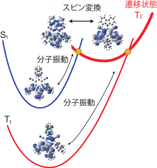 図　本研究で明らかにしたスピン変換過程の概略図