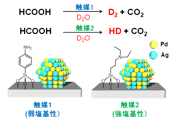 図１　ギ酸と重水から重水素ガスを作りわける触媒技術