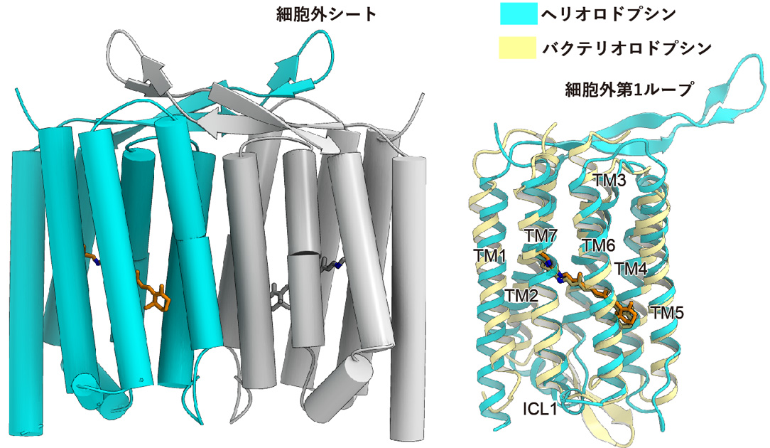 自然科学研究科