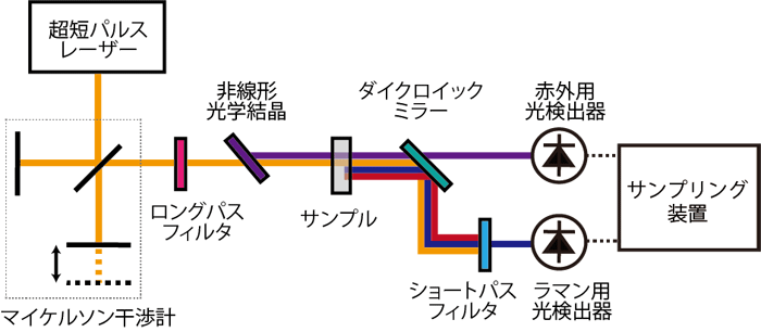 図２　相補振動分光法のシステム概略図