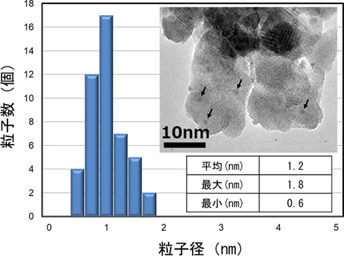 図１　粒子径評価