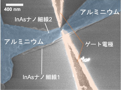 図１　素子の電子顕微鏡写真