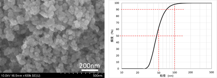 図１　粉砕、再結晶化法を用いて製造したゼオライトナノ粒子のＳＥＭ観察像、および粒度分布測定結果（動的光散乱方式：ＤＬＳ）