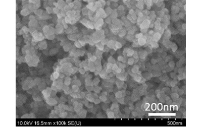 Figure 1. SEM micrographs of zeolite nanoparticles produced by bead milling and recrystallizing method.