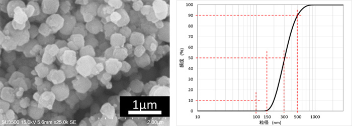 図３　粒成長法により製造したゼオライトナノ粒子のＳＥＭ観察像、及び粒度分布測定結果（ＤＬＳ）