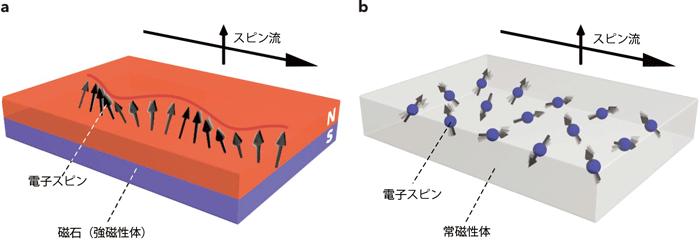 図１　強磁性体（ａ）と常磁性体（ｂ）におけるスピン流伝播のイメージ図