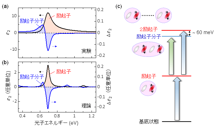 図２