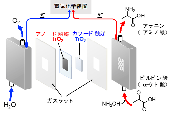 図１　フロー型アミノ酸合成電気化学セルの構成