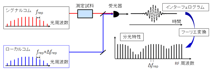 図１　デュアルコム分光法の概念図