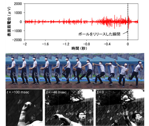図４　被験者がストレート（球速約１１０ｋｍ／ｈ）を投げた際の手のひらの表面筋電図とハイスピードカメラで撮影した投球モーション