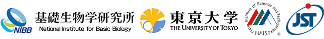 自然科学研究機構 基礎生物学研究所,東京大学,奈良先端科学技術大学院大学,科学技術振興機構（ＪＳＴ）