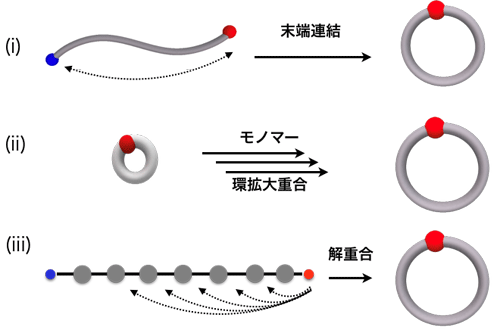 図　環状分子(環状高分子を含む)の合成法