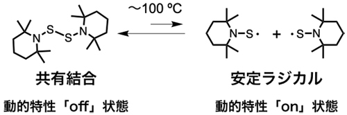 図　ジスルフィド骨格