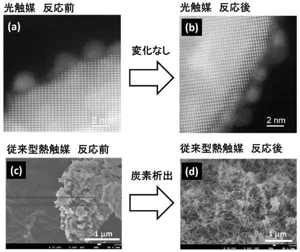 図３　光触媒および従来型熱触媒の反応前後の電子顕微鏡像