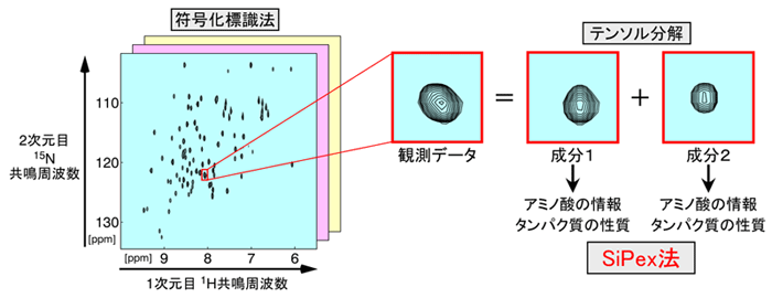 図　情報科学（符号化標識法）と数理科学（テンソル分解）を応用したＳｉＰｅｘ法