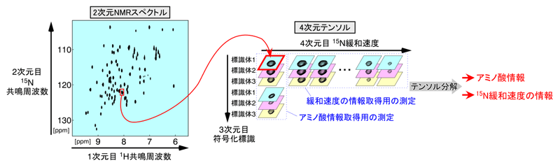 図２　符号化標識法で得られたスペクトルを用いた、信号の分離と情報の取り出し