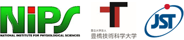然科学研究機構 生理学研究所,豊橋技術大学,科学技術振興機構（ＪＳＴ）
