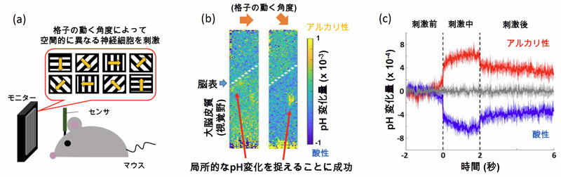 図２　タイトル