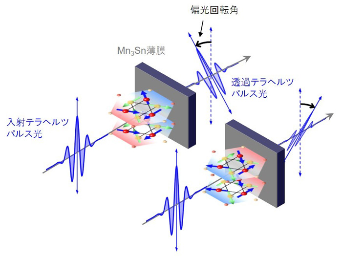 図１　反強磁性金属Ｍｎ３Ｓｎ薄膜におけるテラヘルツ周波数帯の異常ホール効果