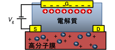 図１　電解質ゲート法による電荷注入の模式図