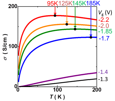 図４　電気伝導率（σ）の温度依存性
