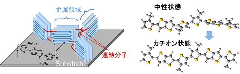 図５　高分子薄膜の構造模式図と理論計算された分子構造