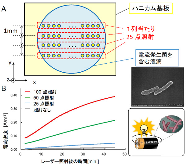 図4　逐次多点照射による電流発生菌の捕捉と電流密度増大