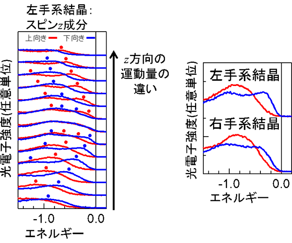 図２　左手系結晶におけるスピン分解・角度分解光電子分光スペクトル