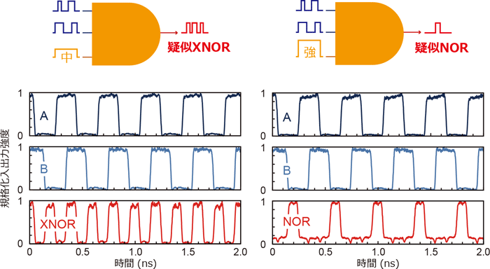 図５　バイアス光強度の調整による論理演算機能のスイッチングの実験結果
