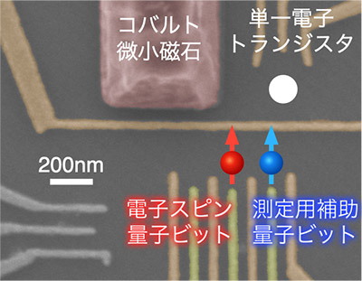 図２　半導体基板上に作製した電子スピン量子ビットデバイス