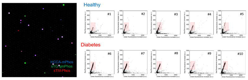 図４　糖尿病患者血清中のリン酸エステル加水分解酵素群の１分子活性検出