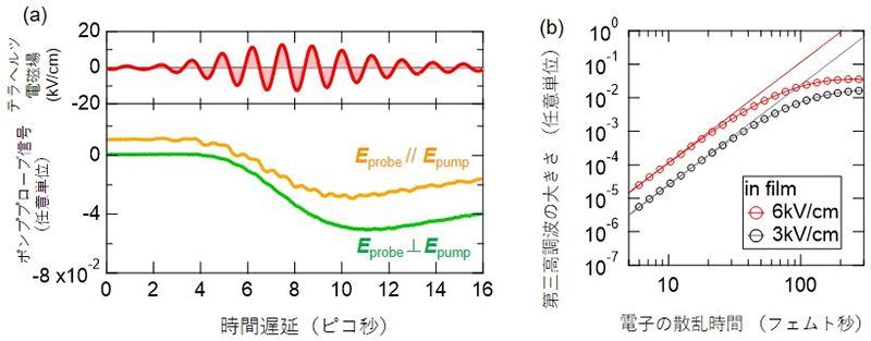 図３　ヒ化カドミウムにおける時間分解観測と理論計算