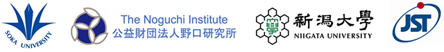 筑波大学,科学技術振興機構（ＪＳＴ）