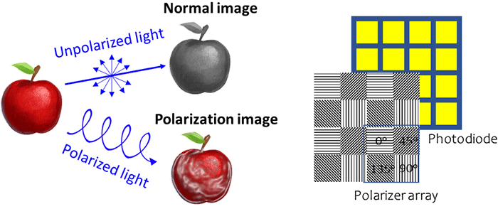 Figure 1. Visualized images obtained by detection of polarized light and conventional polarization image sensor