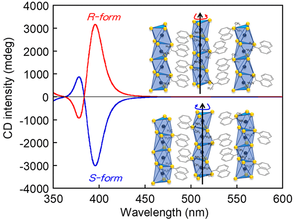 Figure 2. Circular dichroism spectra of 1D chiral crystalline films