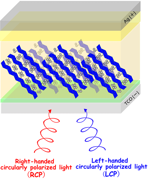 Figure. 3 Schematic imaging of the circularly polarized light detector