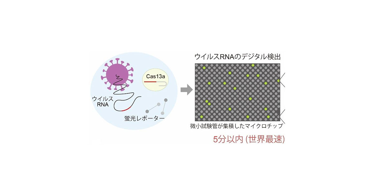 新型コロナウイルスの超高感度・世界最速検出技術を開発