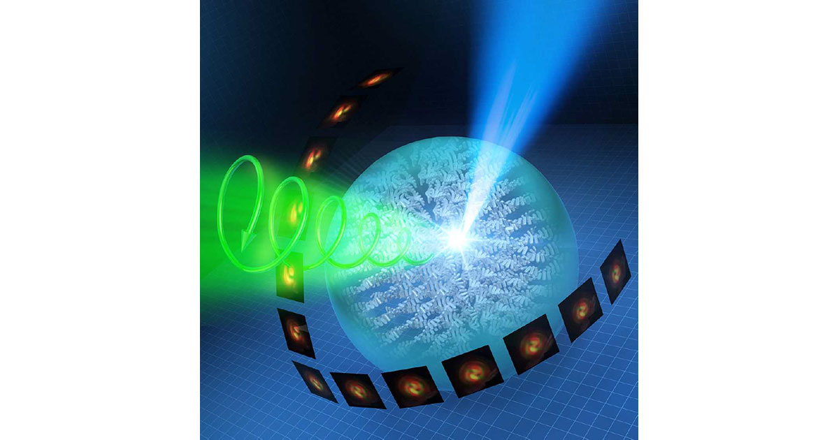有機マイクロ球体から発生する円偏光発光の角度依存性を実証