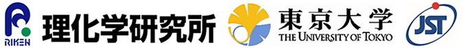 理化学研究所,東京大学,科学技術振興機構（ＪＳＴ）