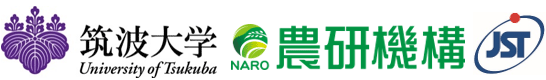 筑波大学,農業・食品産業技術総合研究機構,科学技術振興機構（ＪＳＴ）