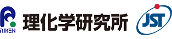 理化学研究所,科学技術振興機構（ＪＳＴ）