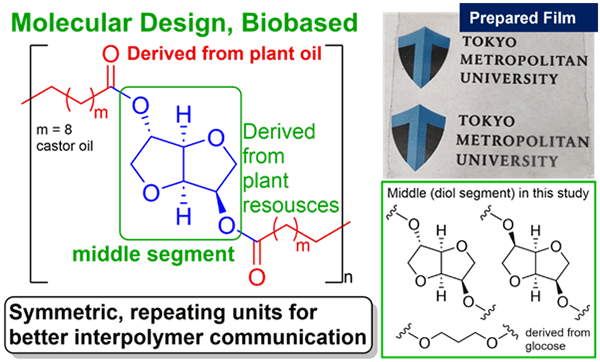 Figure 2: Basic design, structure of present biobased polyesters
