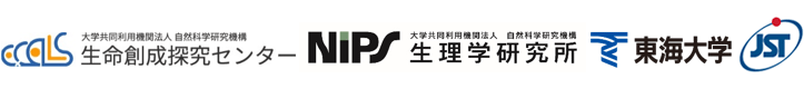 自然科学研究機構 生命創成探究センター／生理学研究所,東海大学,科学技術振興機構（ＪＳＴ）