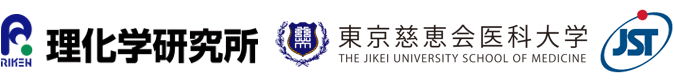 理化学研究所,東京慈恵会医科大学,科学技術振興機構（ＪＳＴ）